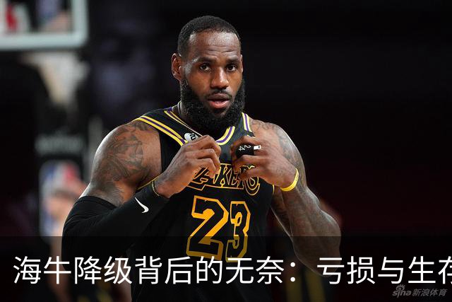 海牛降级背后的无奈：亏损与生存的双重困境